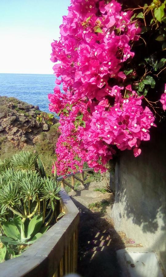La Pardela Oceanfront Apartment *
